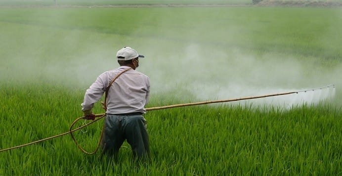 monsanto roundup
