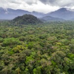 La antigua planificación urbana en la Amazonía