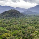 ¿Quién asume la responsabilidad global de los elementos críticos para el clima?