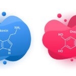 La influencia de la química cerebral en nuestro comportamiento social