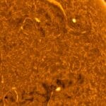 Sun Aktuell: activo en el norte, recuperado en el sur