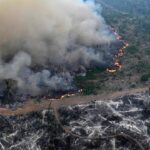 «Rojo» Nivel de alarma «: destrucción de bosques tropicales primordiales en los niveles más altos desde 2002