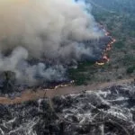 «Rojo» Nivel de alarma «: destrucción de bosques tropicales primordiales en los niveles más altos desde 2002