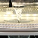 Astronomía: el tornado de agua simula el desarrollo de planetas en el laboratorio