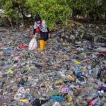 ¿Qué tan útiles son los créditos en plástico?