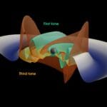 Durante diez años de ondas gravitacionales nuevas señales