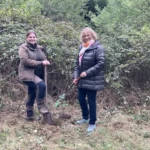 Hoja de ruta establecida para la oficina forestal de la fundación para la próxima década