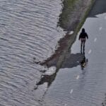 Las crisis ambientales son mayores de lo que se temía, según un informe de las Naciones Unidas