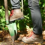 El trabajo diario de un forestal: AELF participa en el Día de las Niñas