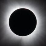 Botánica: ¿Sintieron los árboles la proximidad de un eclipse solar?