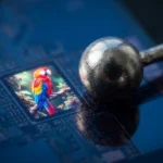 Pantalla: la imagen del loro de 87.500 píxeles cabe en la cabeza de un alfiler