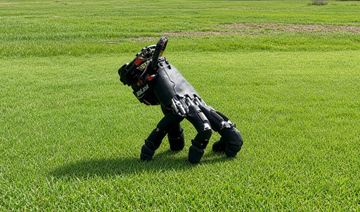 Image default